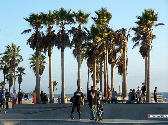 Los Angeles - Skater in Venice Beach